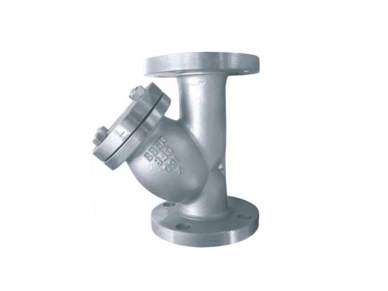 What is the Y strainer valve?       
